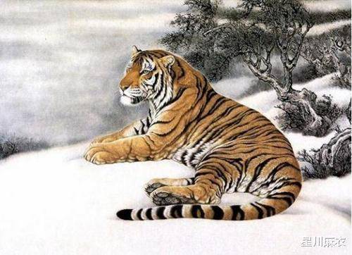 天黑风急虎盗兔马食夜草猴旁观打一生肖,警惕虚假宣传,实证解答解释落实