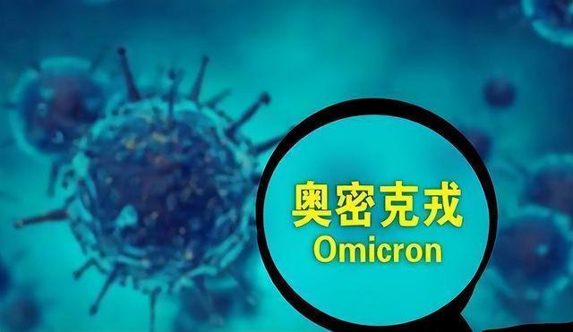 三四兄弟吉吉来，铁马秋风气如山打一正确生肖,警惕虚假宣传-全面释义、解释与落实、科学解答解释落实