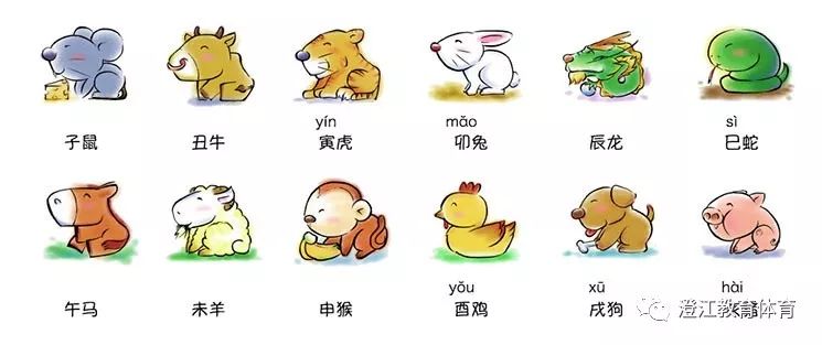 今期鸡牛虎出特,十五十六兄弟马是打猜一最佳准确生肖,警惕虚假宣传,构建解答解释落实